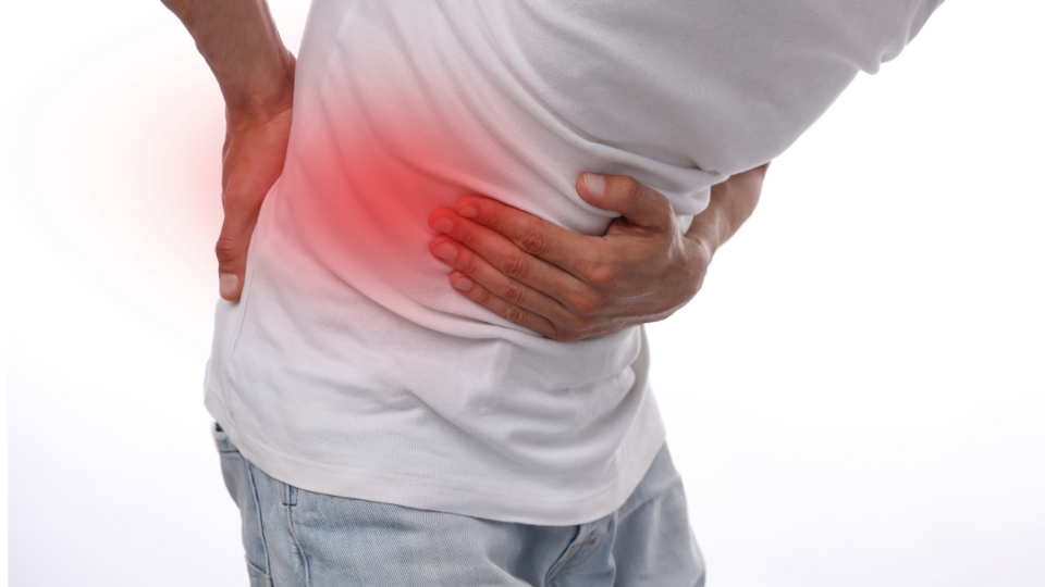 Back Pain Vs Kidney Pain How Can You Tell The Difference Midwest